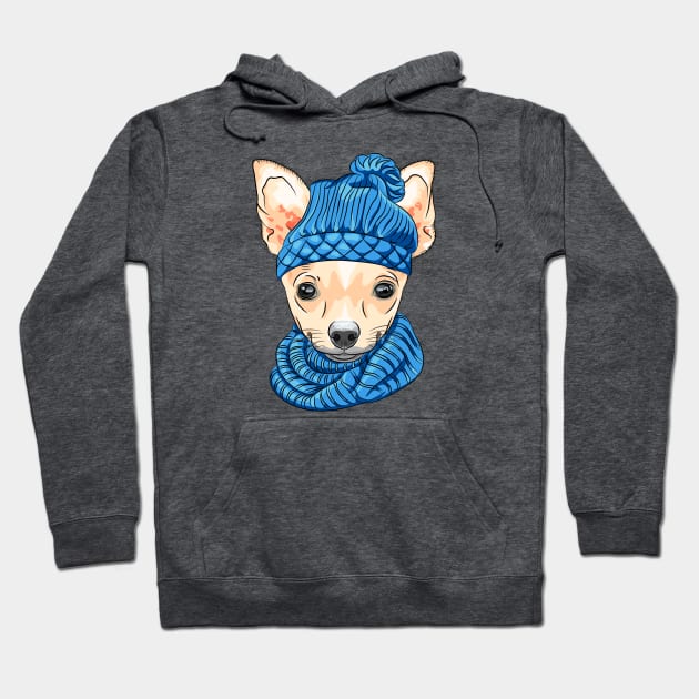 Chihuahua breed in knitted hat and scarf Hoodie by kavalenkava